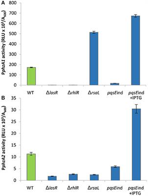 Differential Regulation of the Phenazine Biosynthetic Operons by Quorum Sensing in Pseudomonas aeruginosa PAO1-N